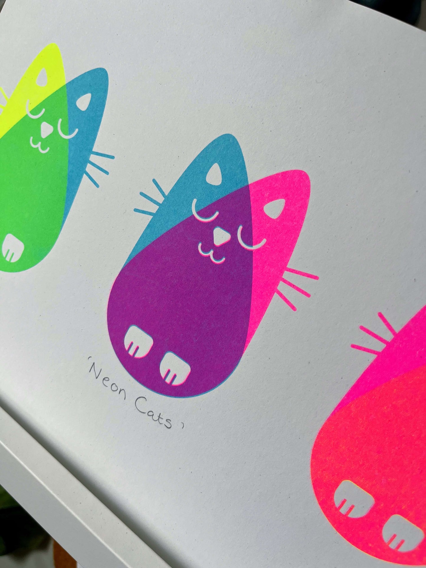 Neon Cats, Risograph A4